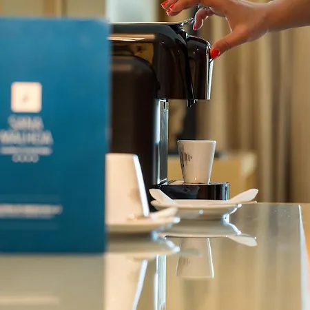 サナ マリョーア 4*