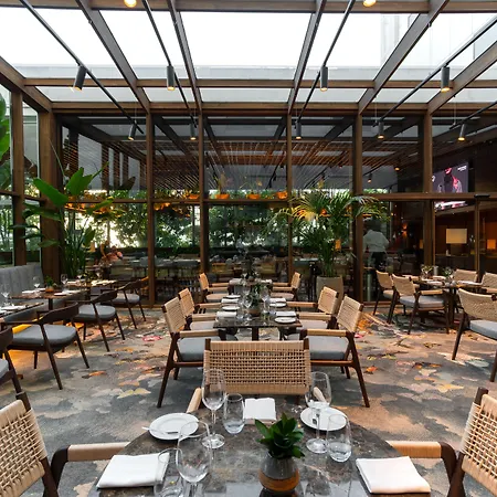 سانا مالهوا