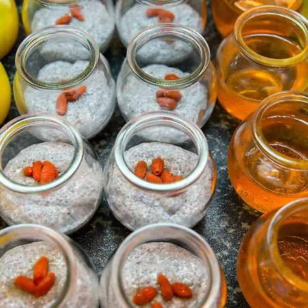 사나 말호아 4* 리스본