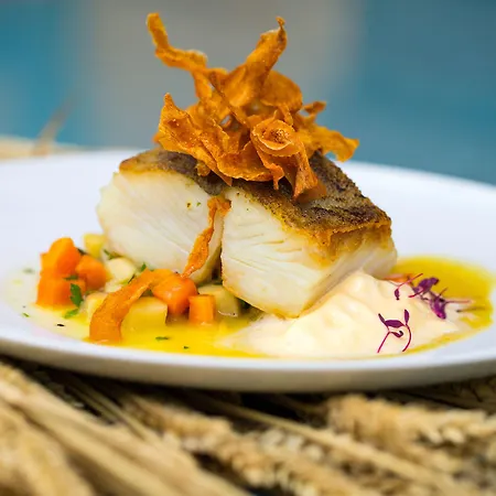 사나 말호아 리스본